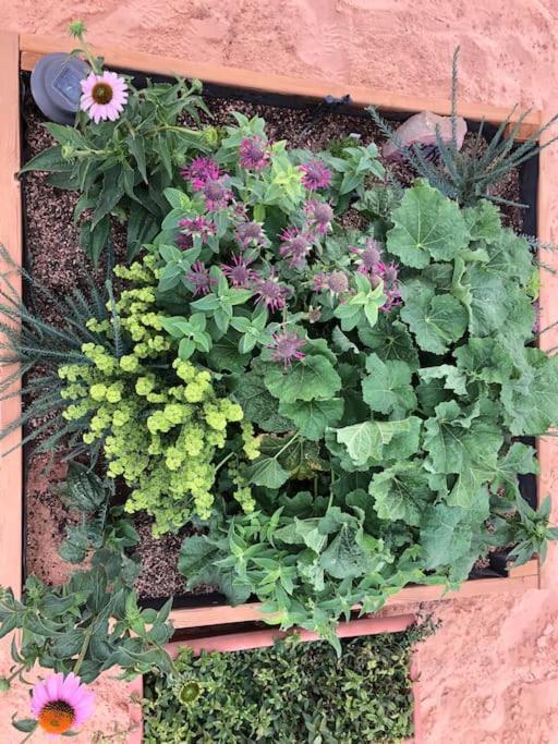 Atlantis Garden Tiny Home Hildale Ngoại thất bức ảnh