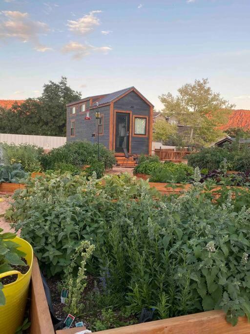 Atlantis Garden Tiny Home Hildale Ngoại thất bức ảnh