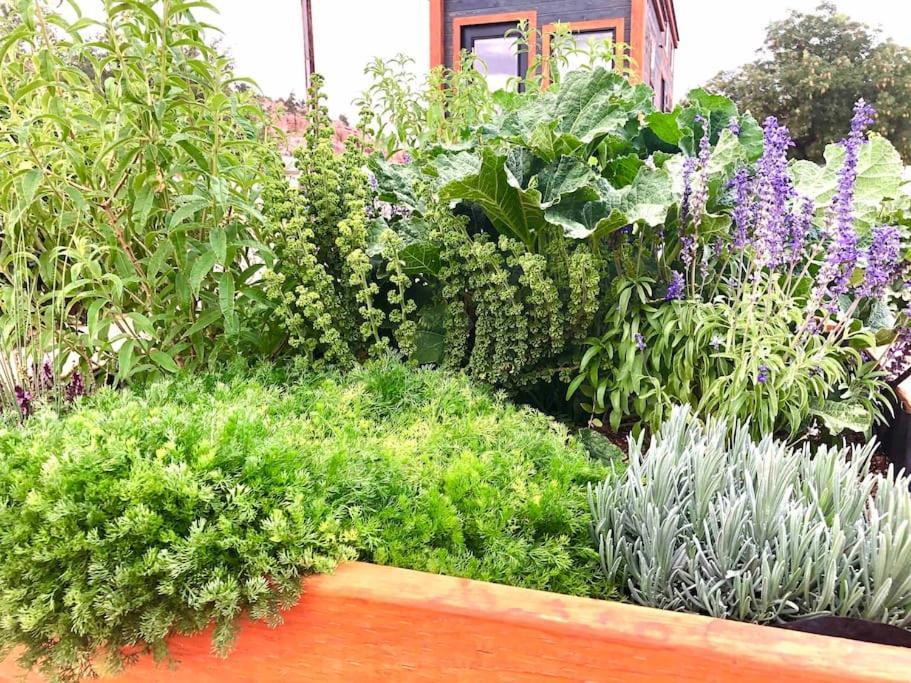 Atlantis Garden Tiny Home Hildale Ngoại thất bức ảnh
