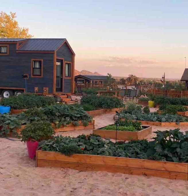 Atlantis Garden Tiny Home Hildale Ngoại thất bức ảnh