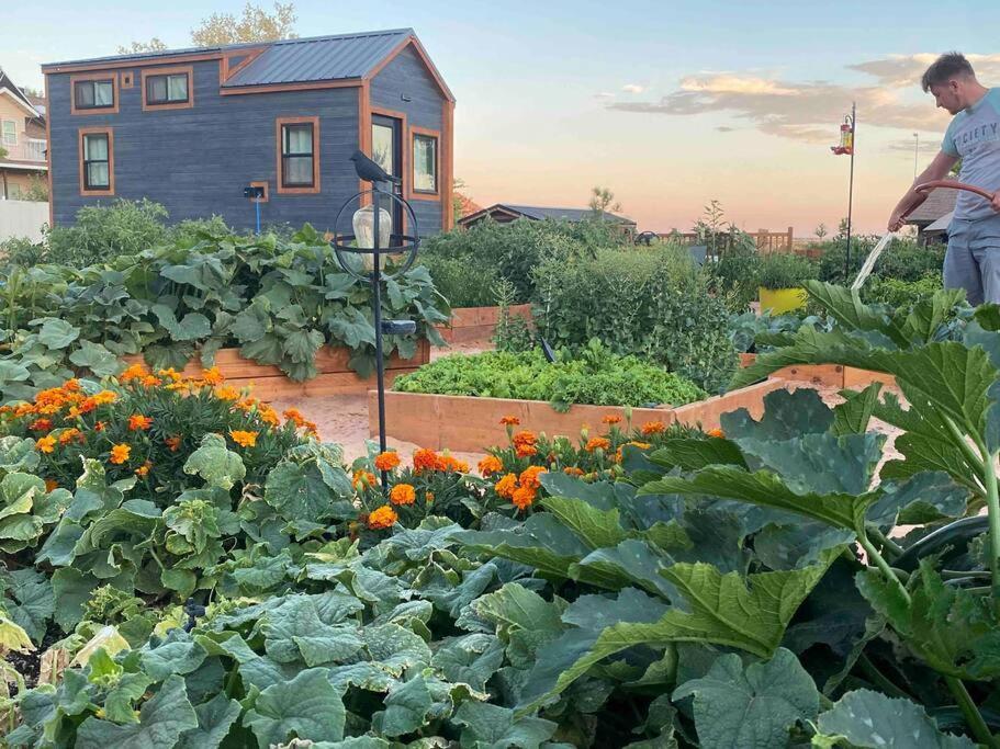 Atlantis Garden Tiny Home Hildale Ngoại thất bức ảnh