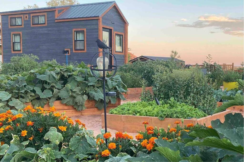 Atlantis Garden Tiny Home Hildale Ngoại thất bức ảnh